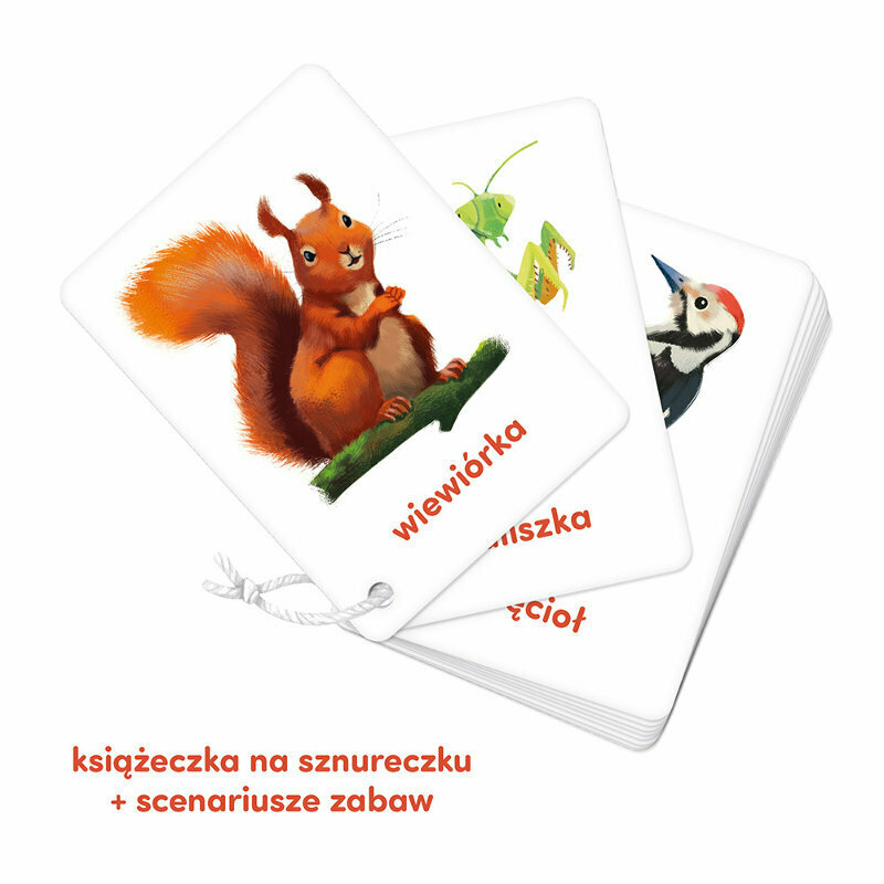 Edukacyjne karty obrazkowe czuczu