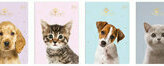 Zeszyt A5 16k kratka UV Kolekcja puppy sign różne wzory
