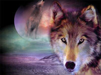 Diamentowa mozaika Zwierzęta Wilk w blasku księżyca 30x40
