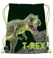 Worek na buty do przedszkola i szkoły z dinozaurem T-Rex, Majewski