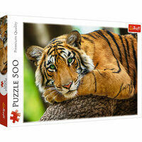 Puzzle 500 elementów Portret tygrysa 37397